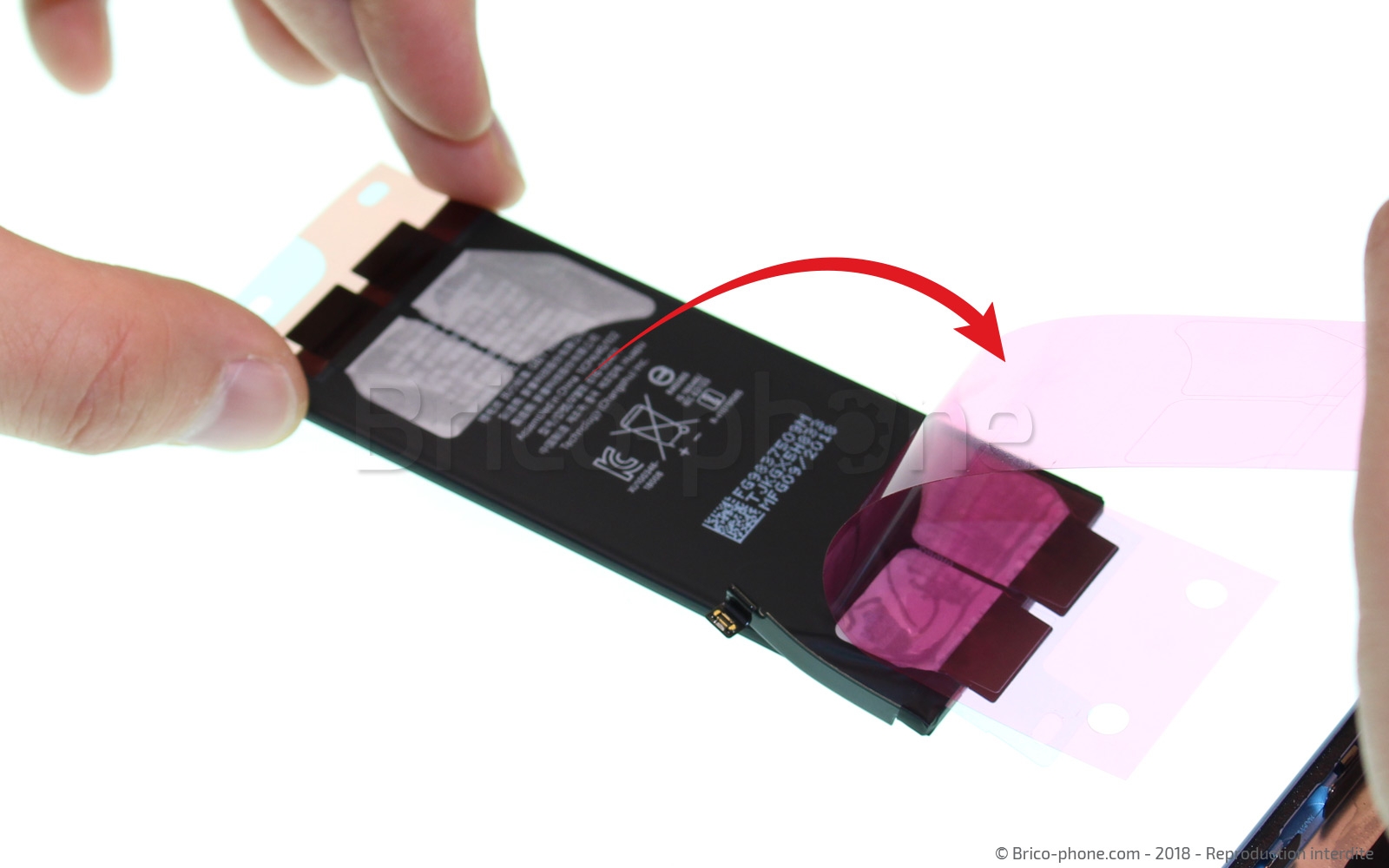 Changement de la coque arrière sur iPhone XR photo 2