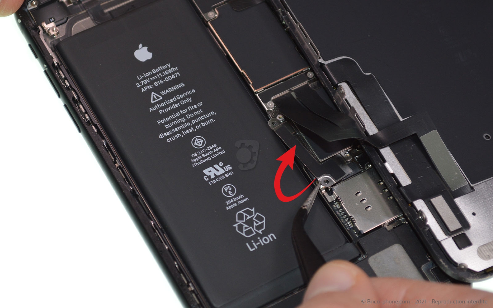 Changement de la coque arrière sur iPhone XR photo 2