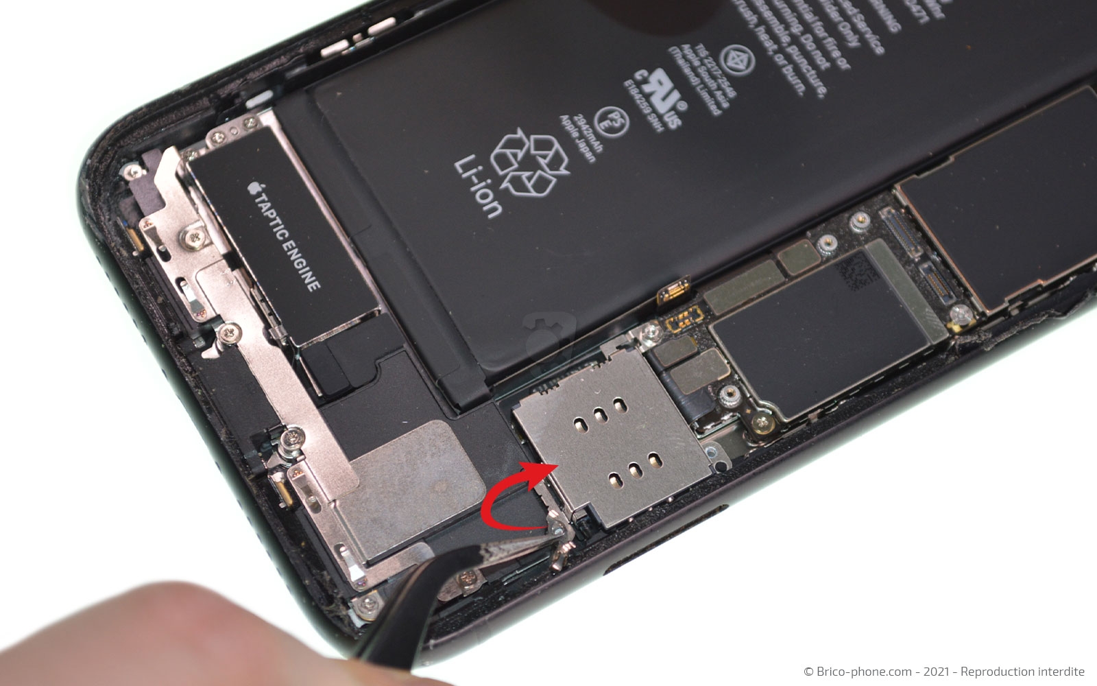 Changement de la coque arrière sur iPhone XR photo 2