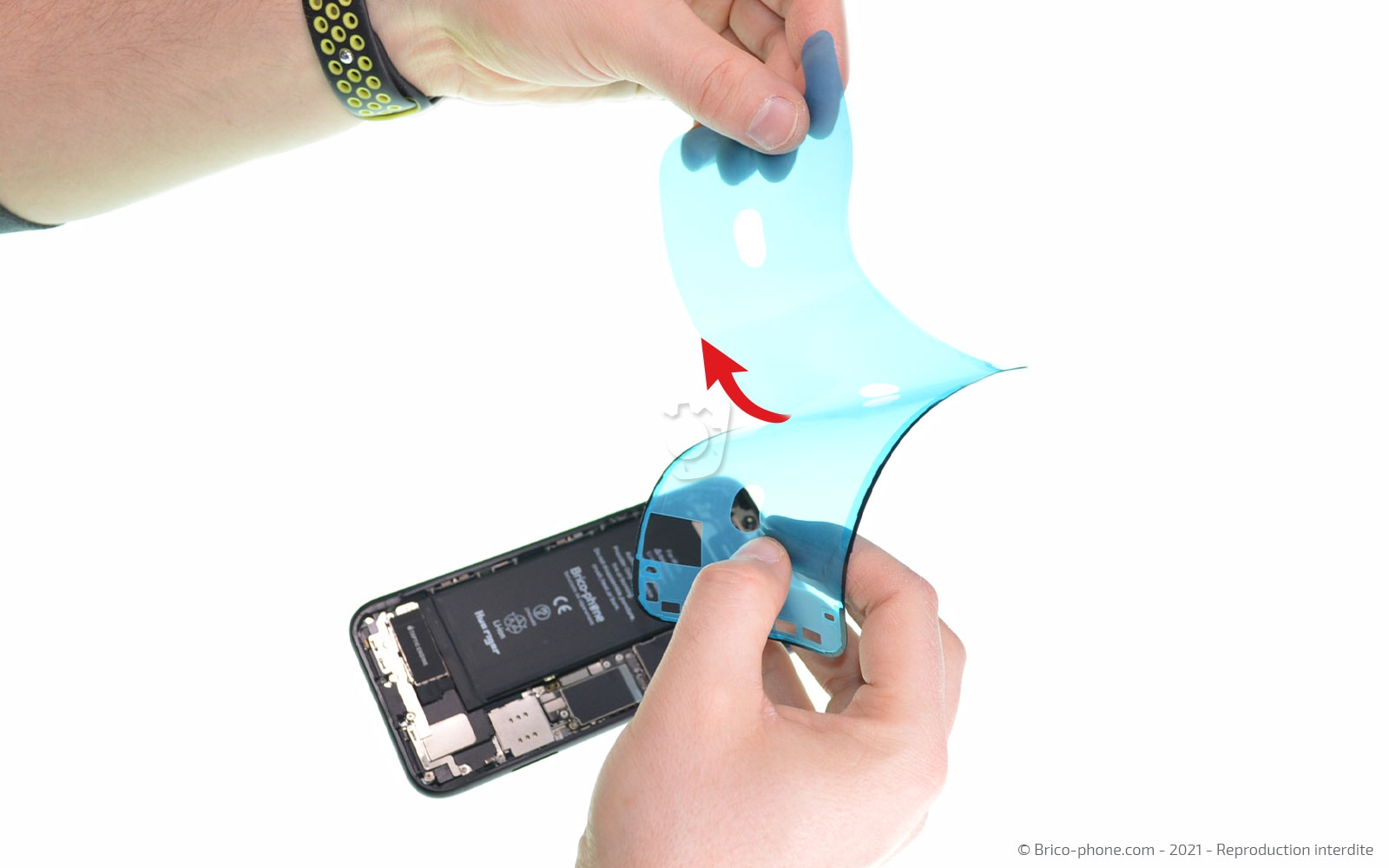 Changement de la coque arrière sur iPhone XR photo 1