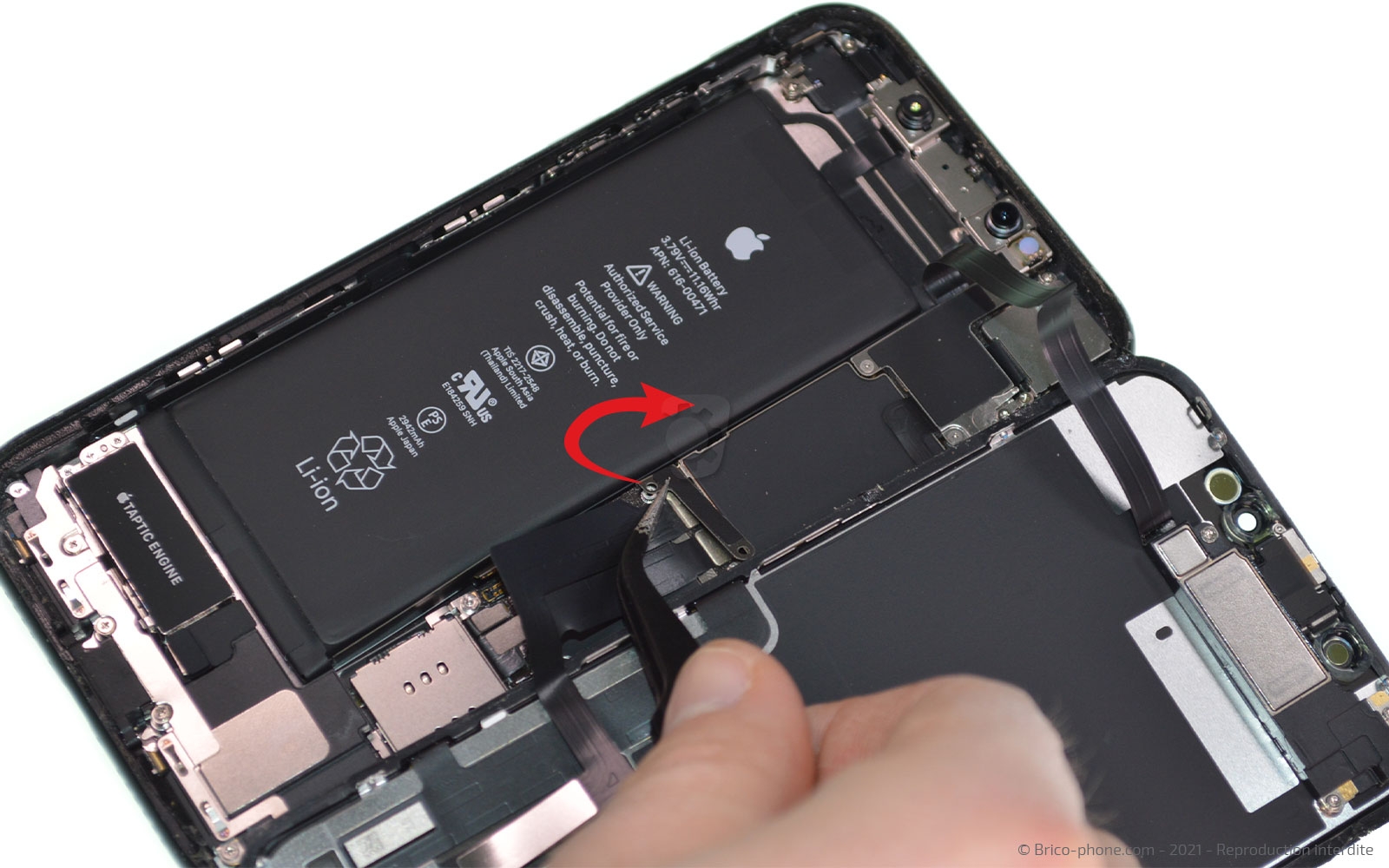 Changement de la coque arrière sur iPhone XR photo 2