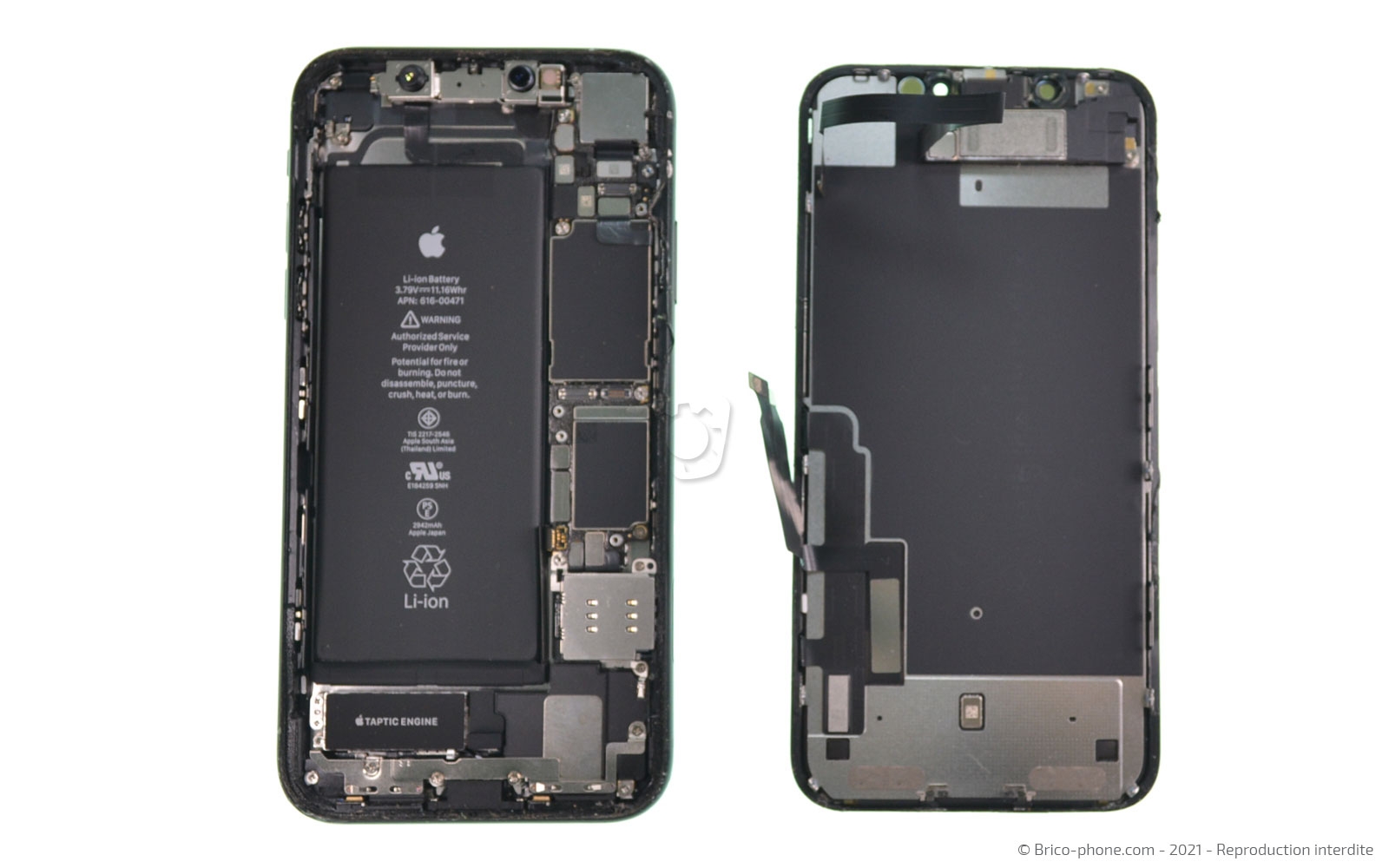 Changement de la coque arrière sur iPhone XR photo 3