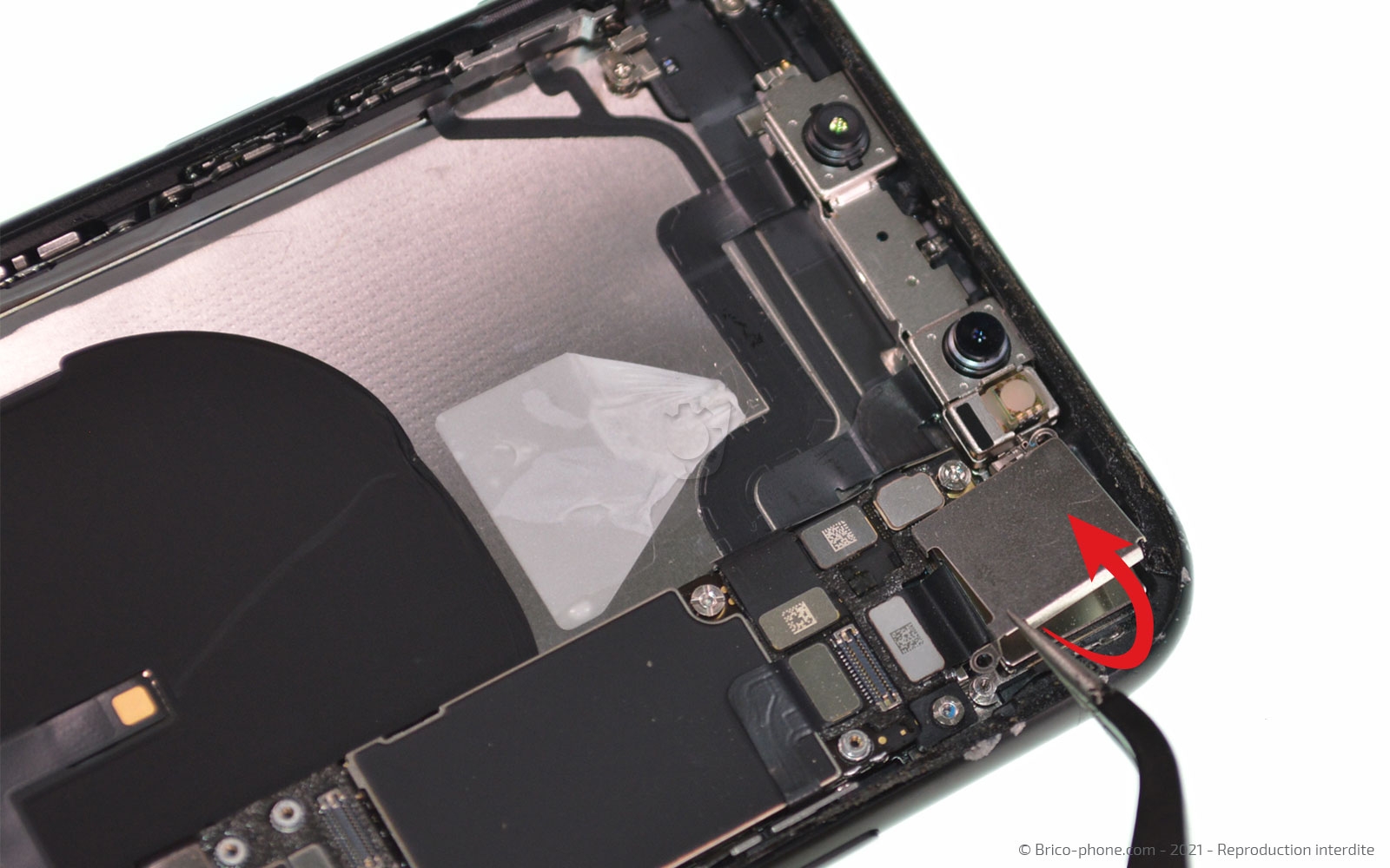 Changement de la coque arrière sur iPhone XR photo 3