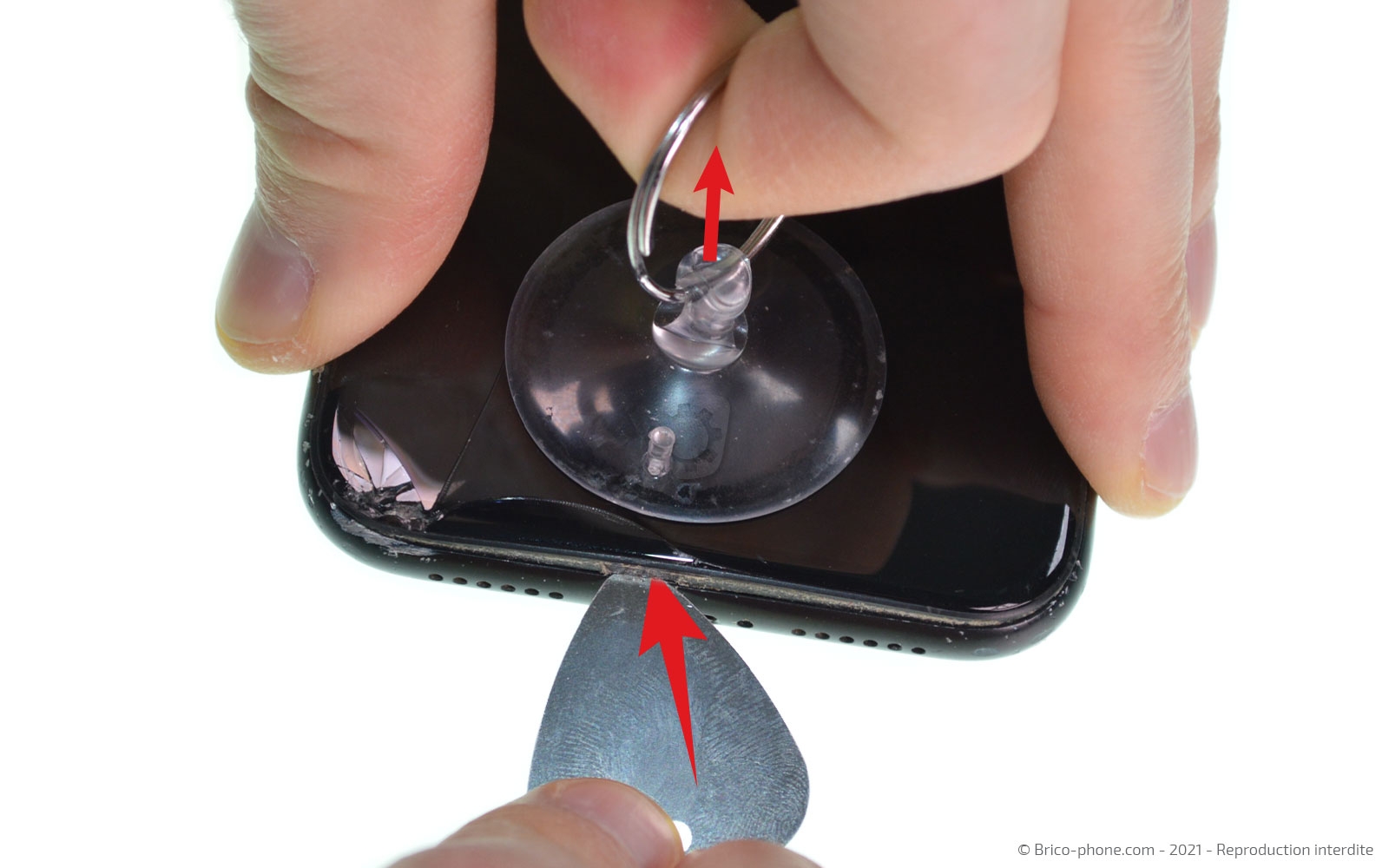 Changement de la coque arrière sur iPhone XR photo 1