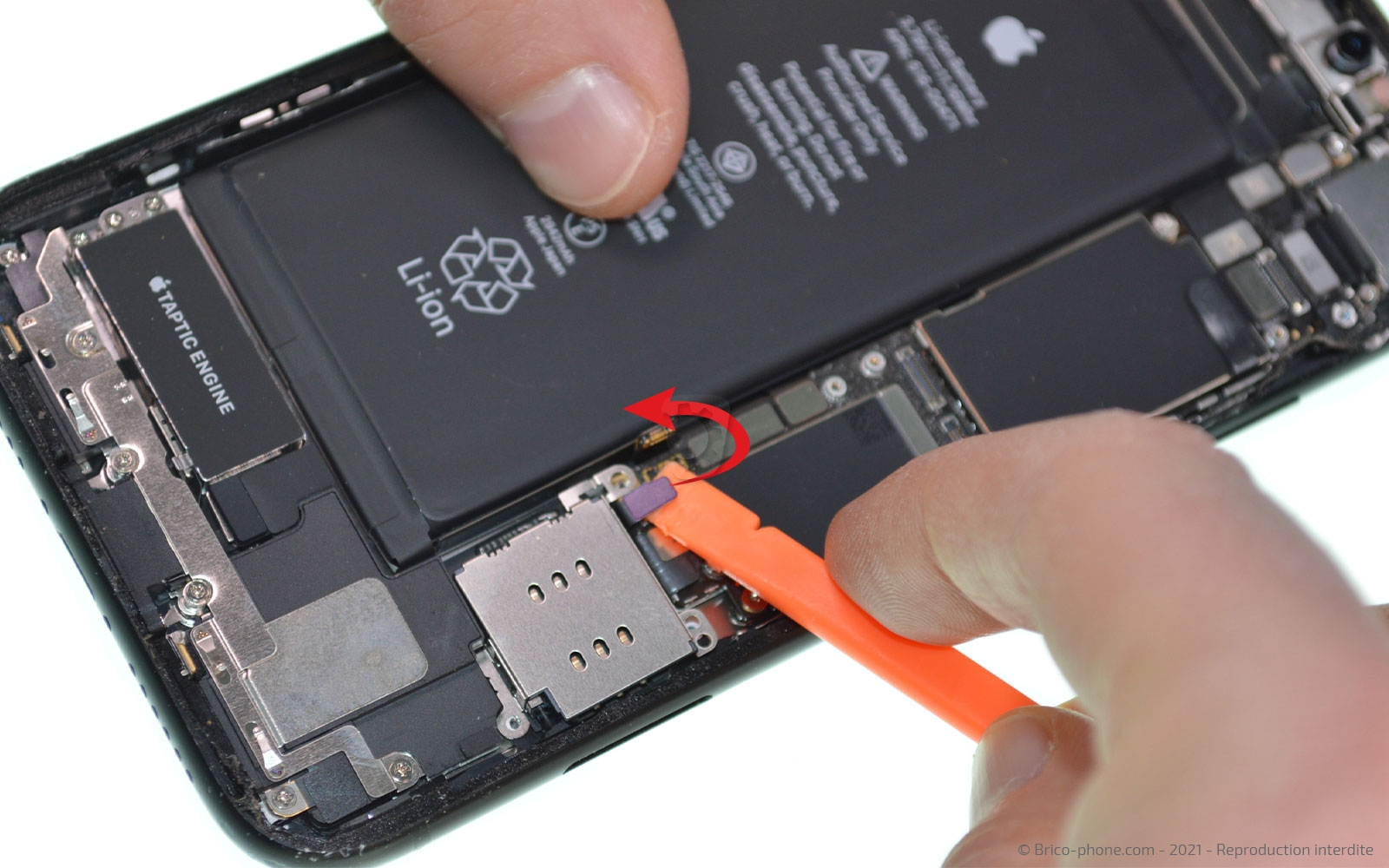 Changement de la coque arrière sur iPhone XR photo 1