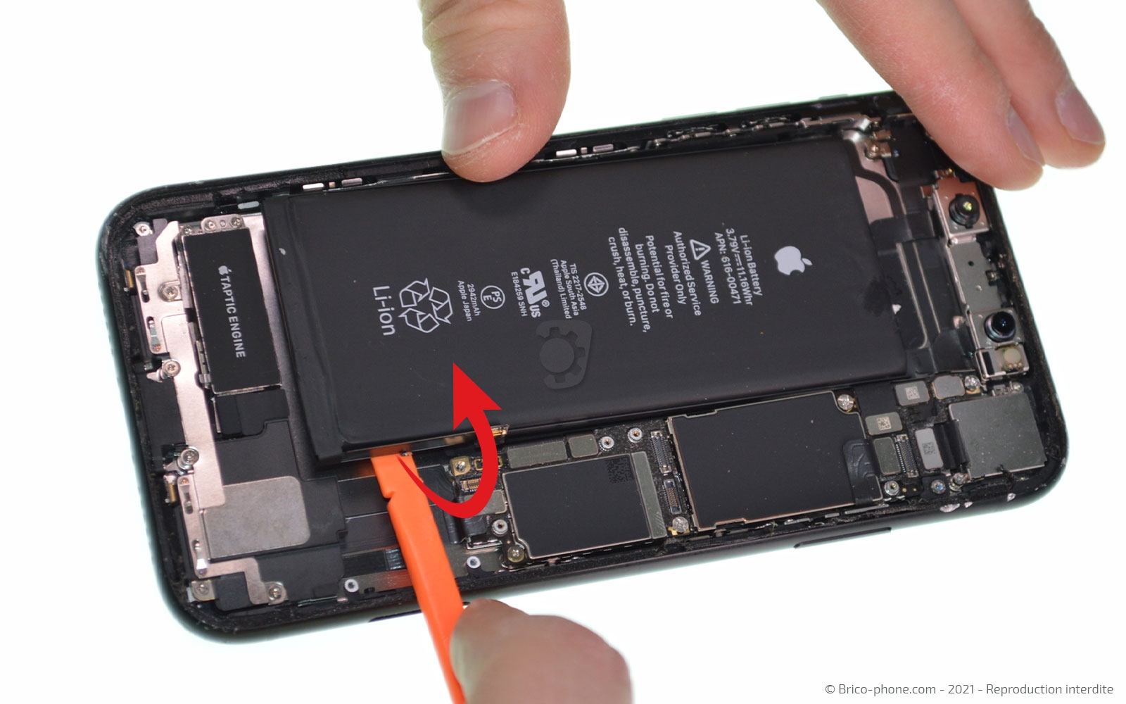 Changement de la coque arrière sur iPhone XR photo 4