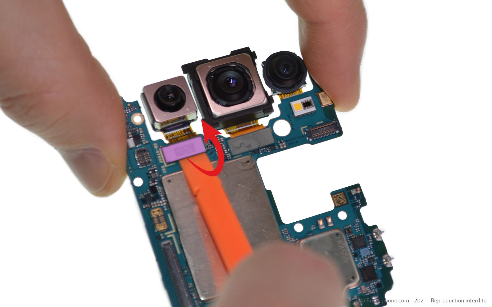 Démontage complet sur Galaxy S20 FE photo 1