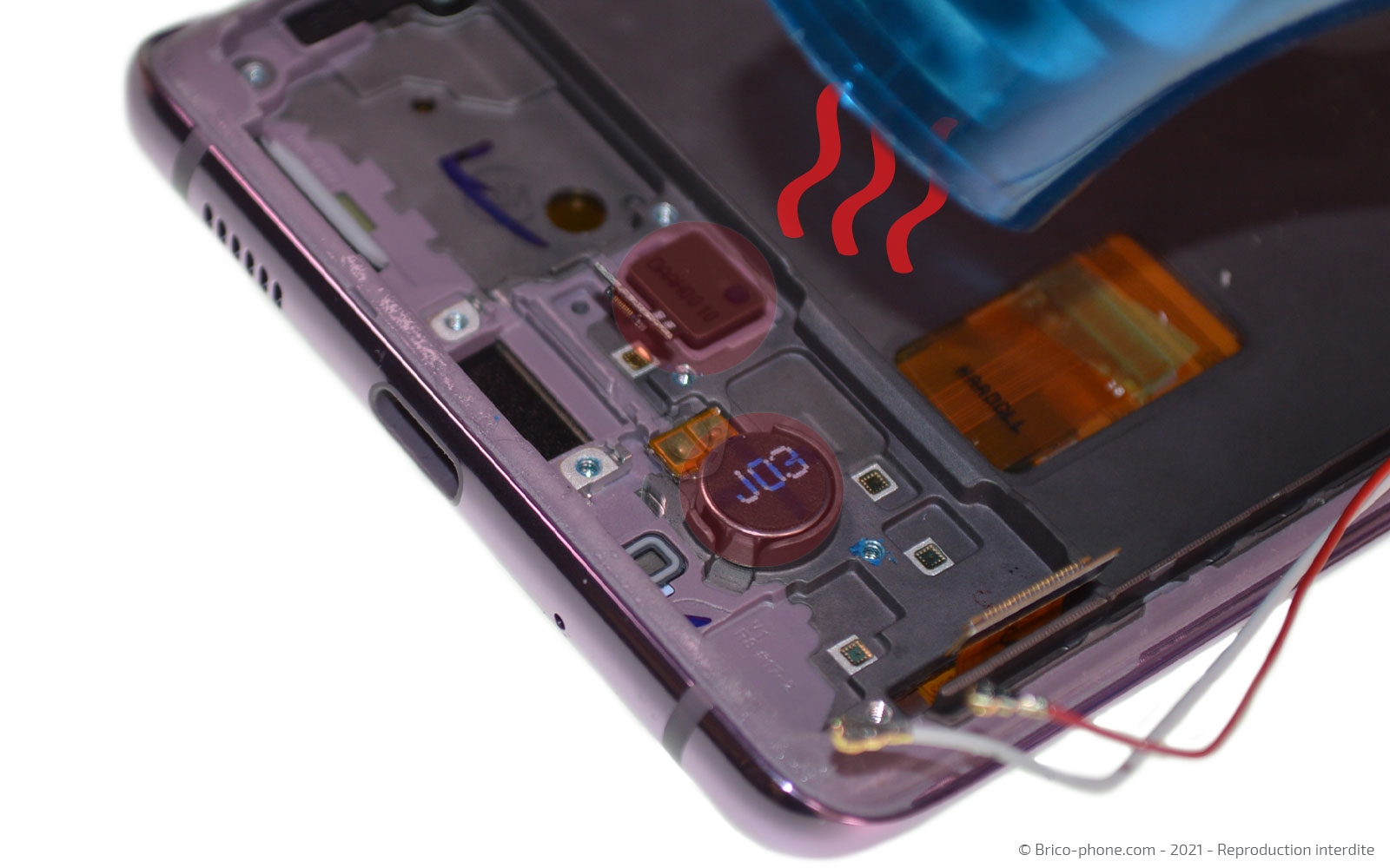 Démontage complet sur Galaxy S20 FE photo 1