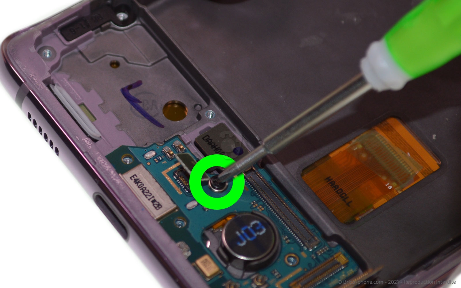 Démontage complet sur Galaxy S20 FE photo 1