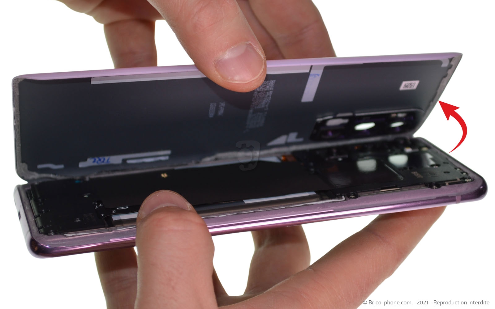 Démontage complet sur Galaxy S20 FE photo 2