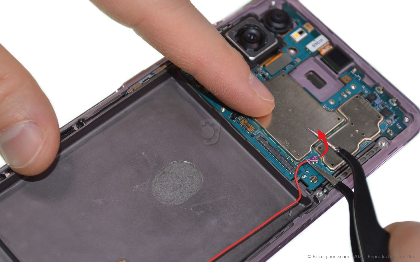 Démontage complet sur Galaxy S20 FE photo 2