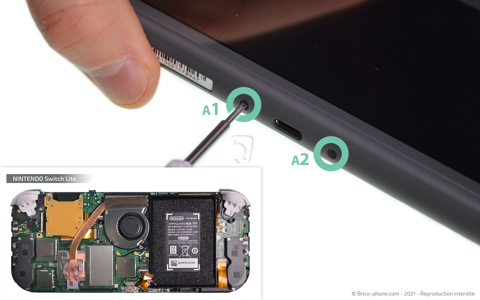 Démontage complet sur Switch Lite photo 1