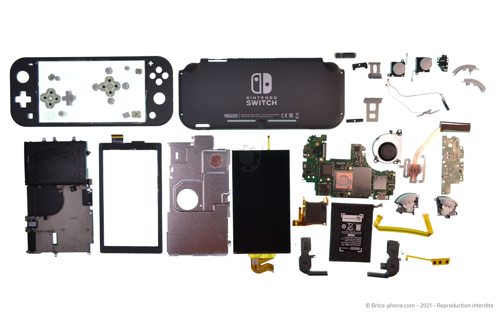 Démontage complet sur Switch Lite photo 1