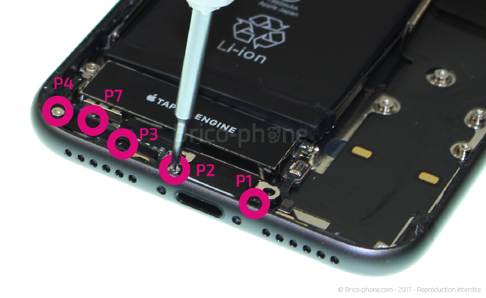 Démontage complet sur iPhone 8 photo 2