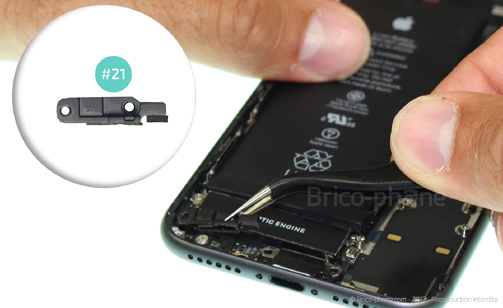 Démontage complet sur iPhone 8 photo 3