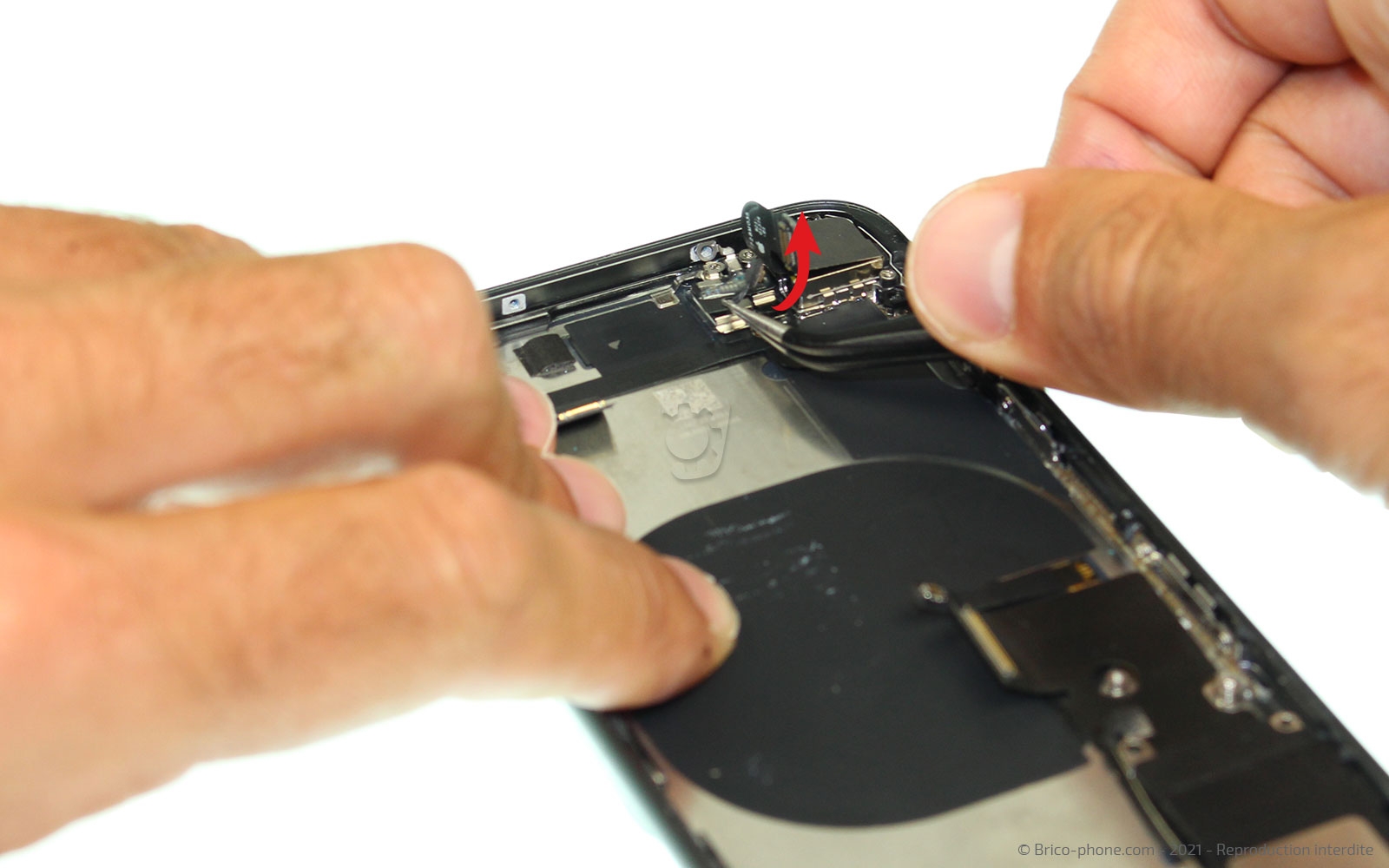 Démontage complet sur iPhone 8 photo 4
