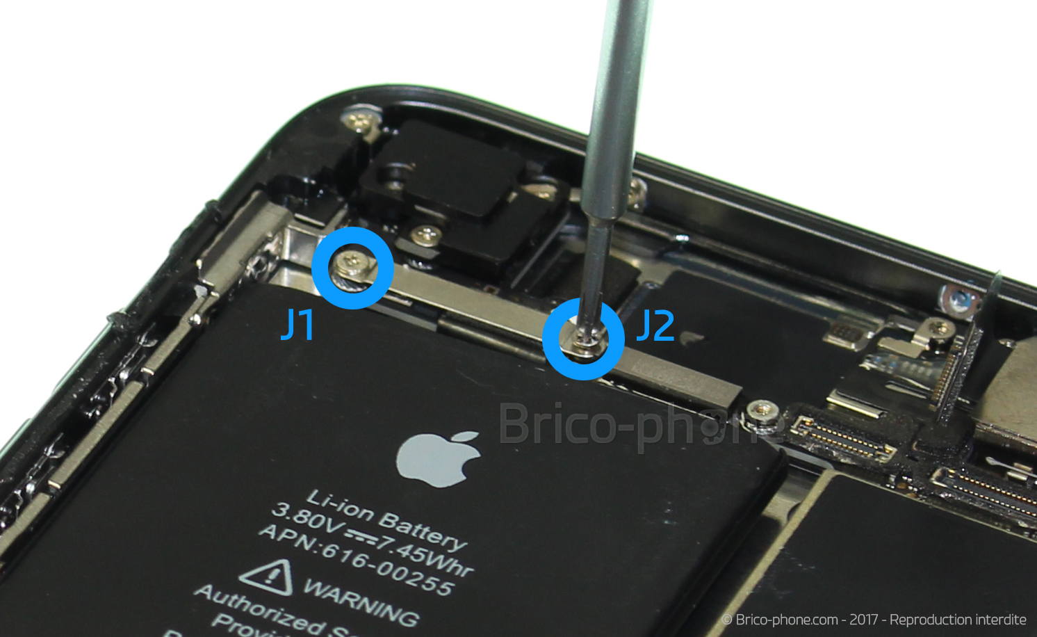 Démontage complet sur iPhone 8 photo 1
