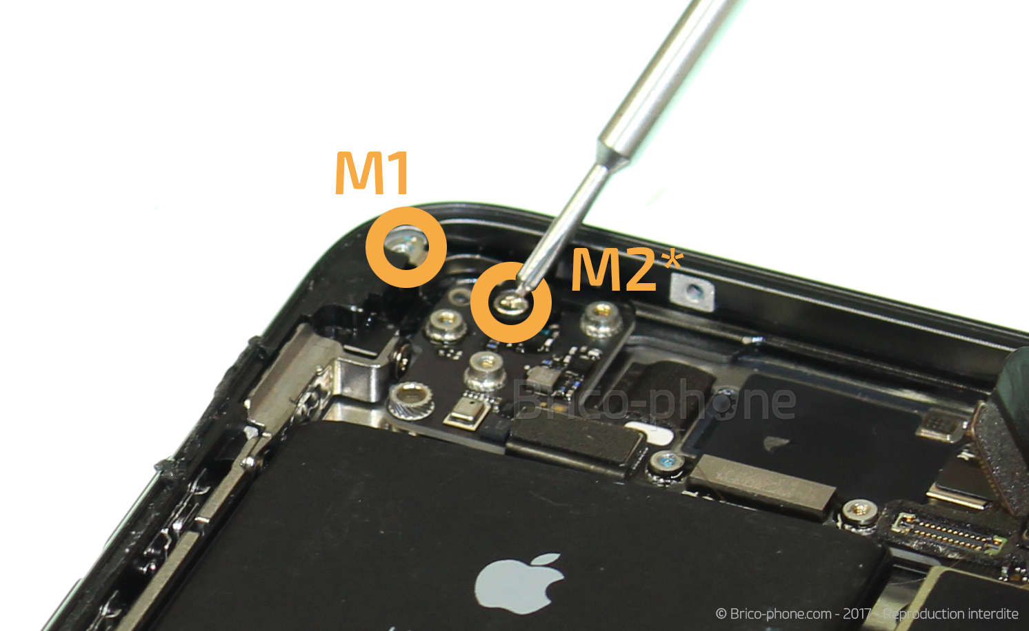 Démontage complet sur iPhone 8 photo 1