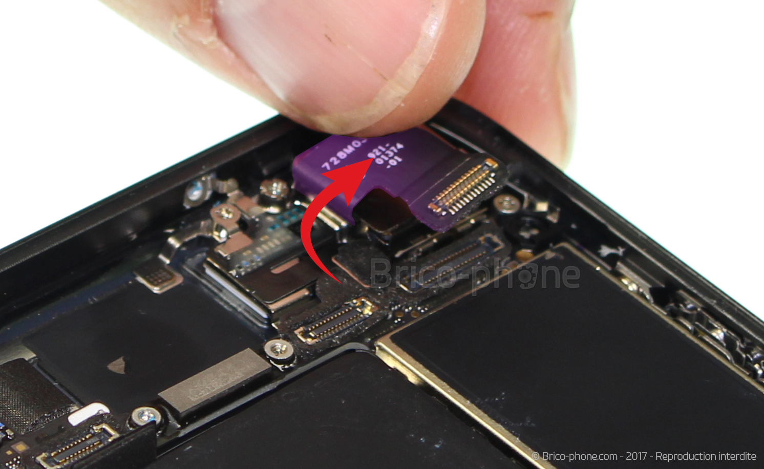 Démontage complet sur iPhone 8 photo 3