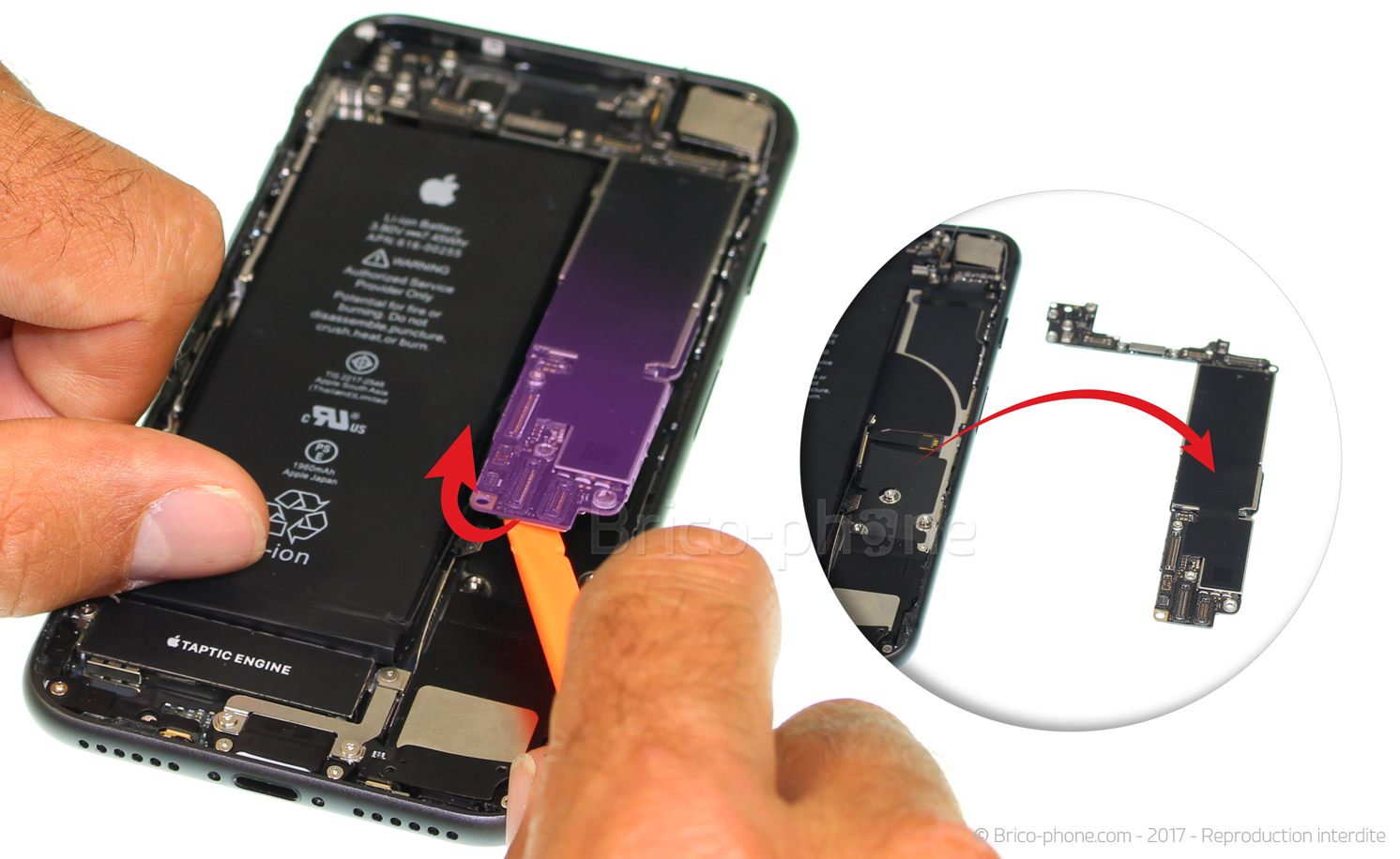 Démontage complet sur iPhone 8 photo 3