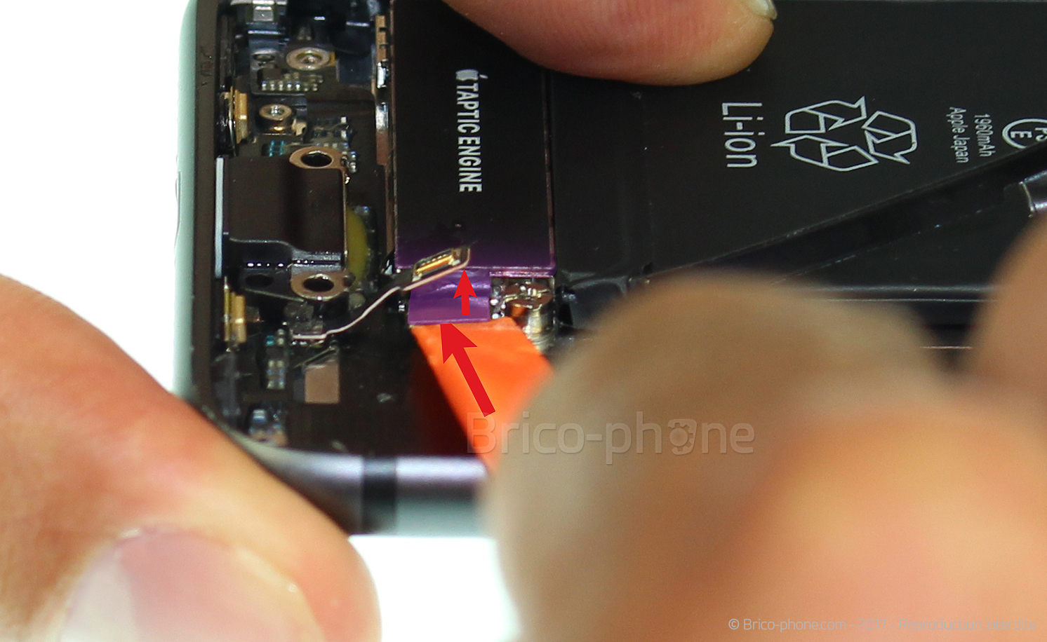 Démontage complet sur iPhone 8 photo 2