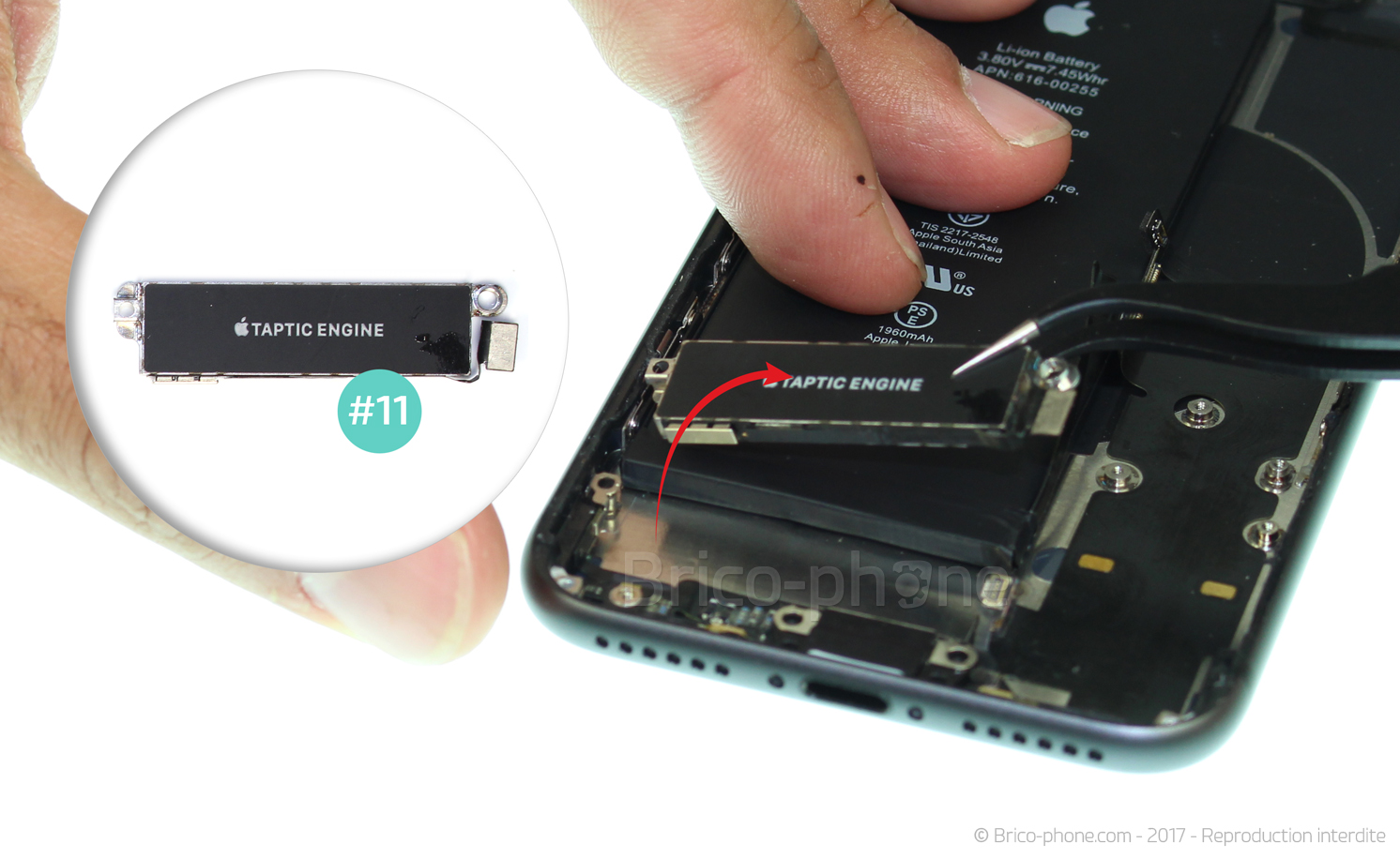 Démontage complet sur iPhone 8 photo 3