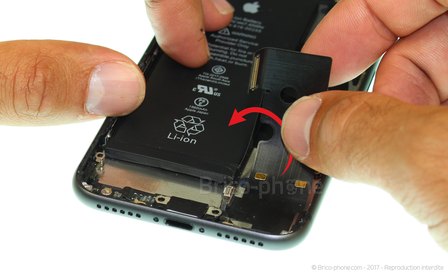 Démontage complet sur iPhone 8 photo 1