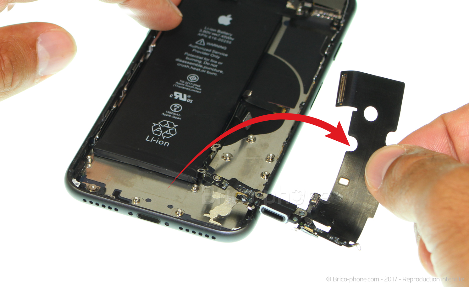 Démontage complet sur iPhone 8 photo 4