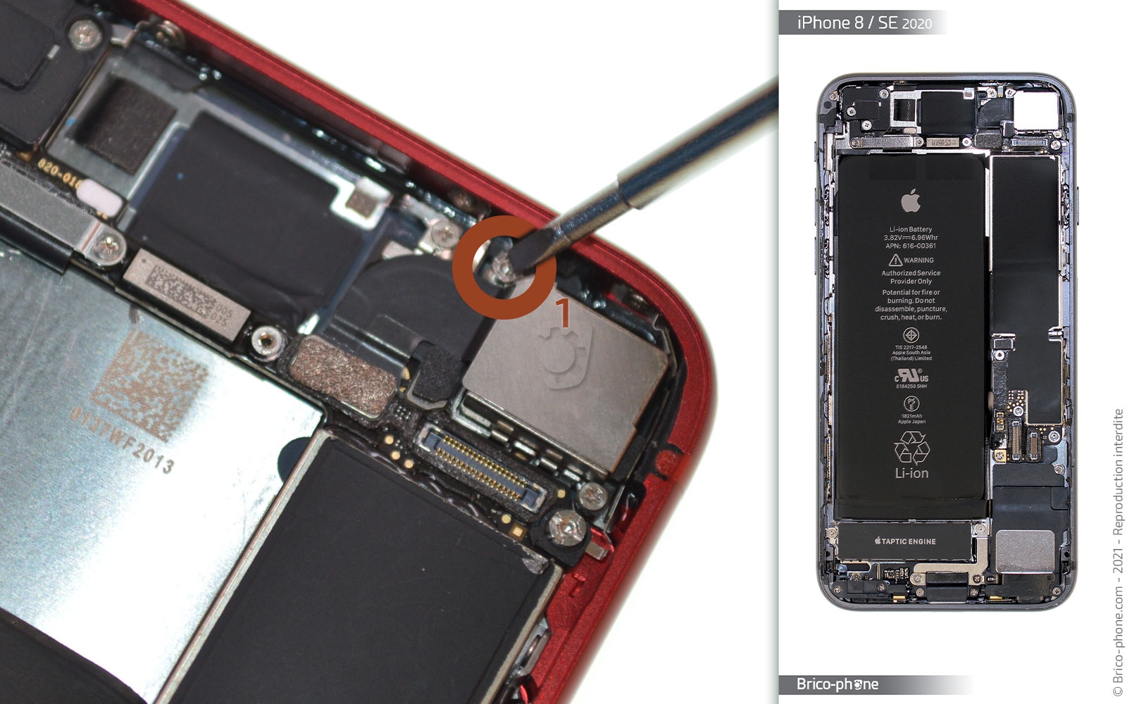 Remise à neuf sur iPhone SE 2020 photo 1