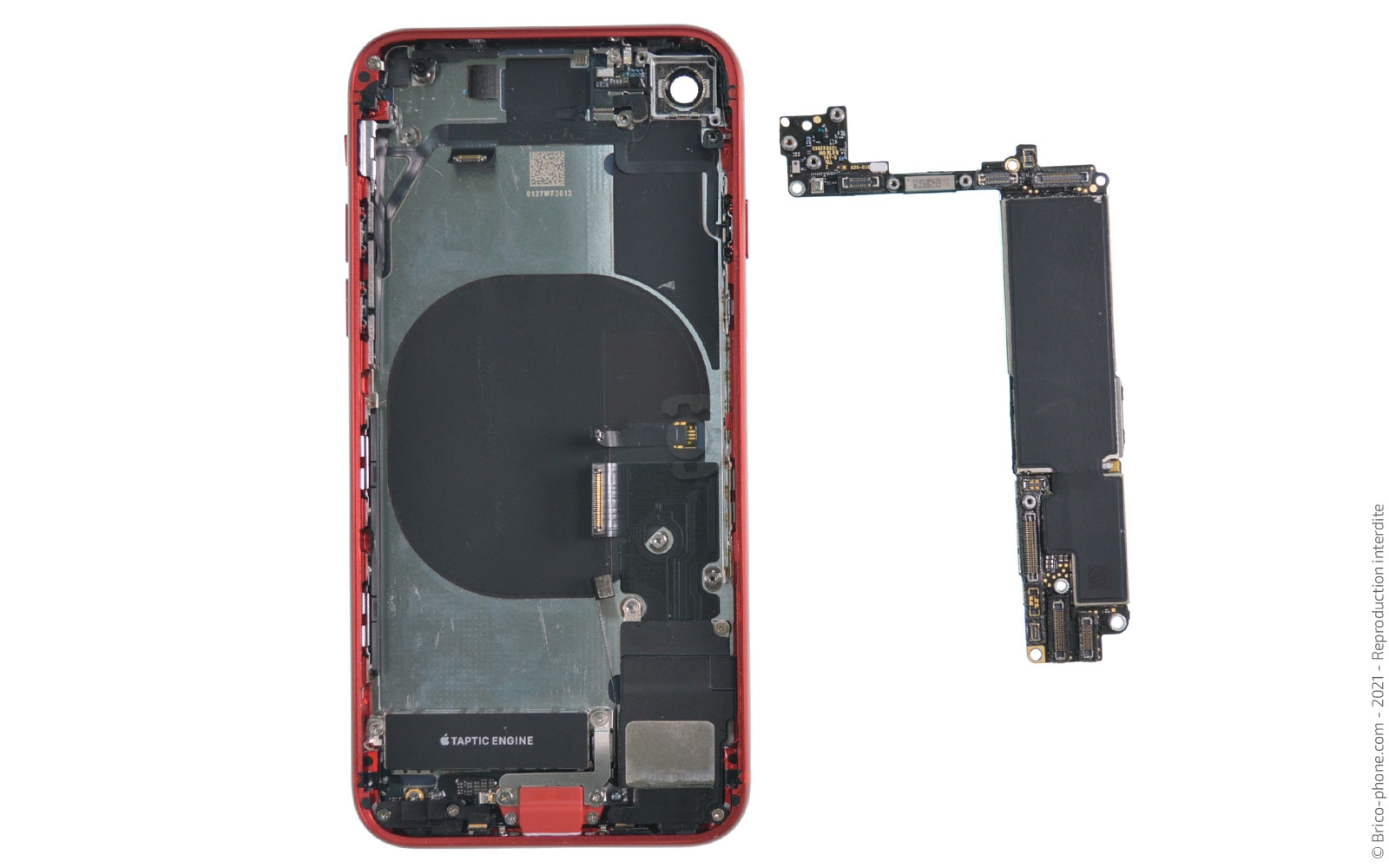 Remise à neuf sur iPhone SE 2020 photo 2