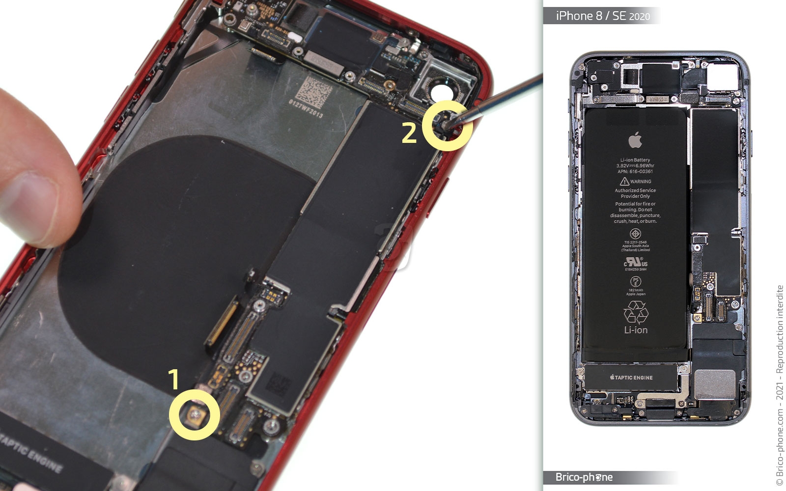 Remise à neuf sur iPhone 8 photo 4