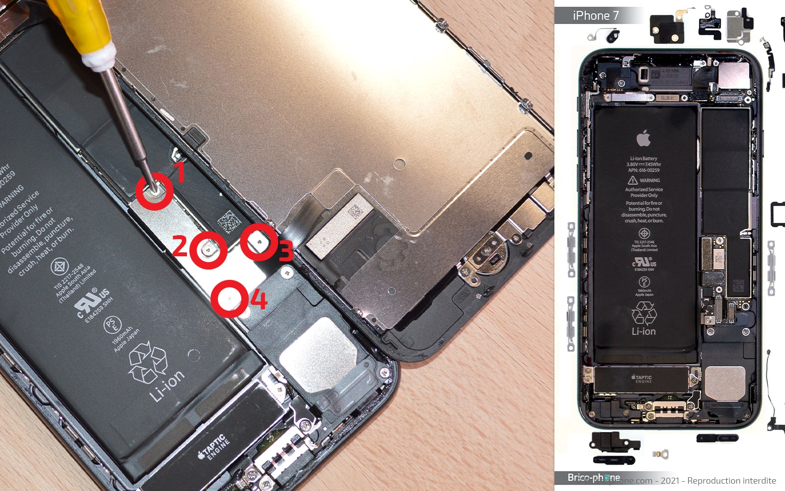 Remise à neuf sur iPhone 7 photo 1