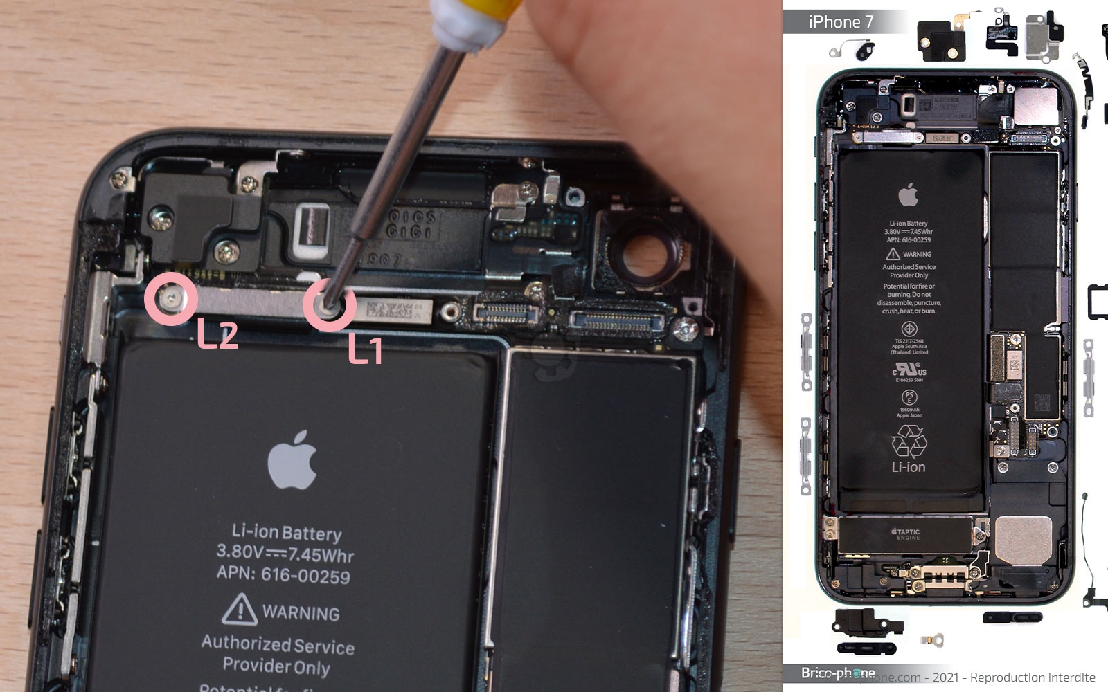 Remise à neuf sur iPhone 7 photo 1