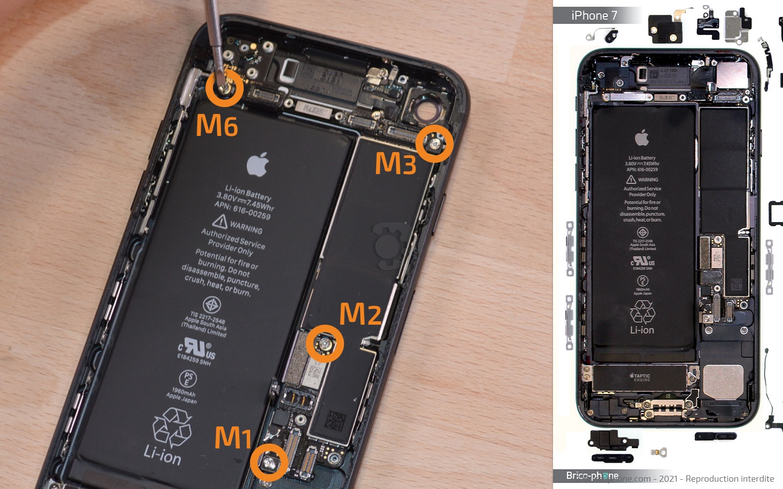 Remise à neuf sur iPhone 7 photo 1