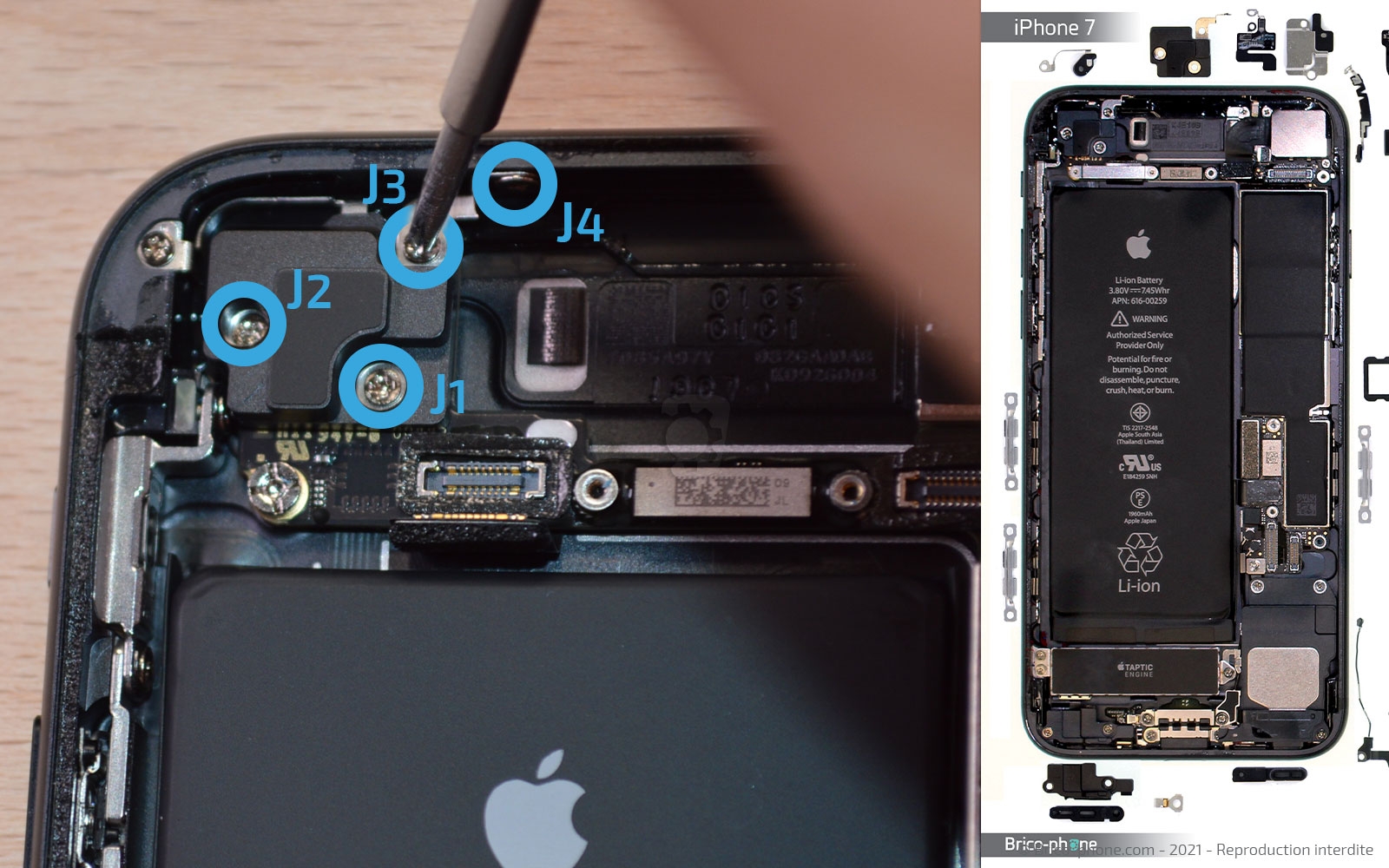 Remise à neuf sur iPhone 7 photo 1