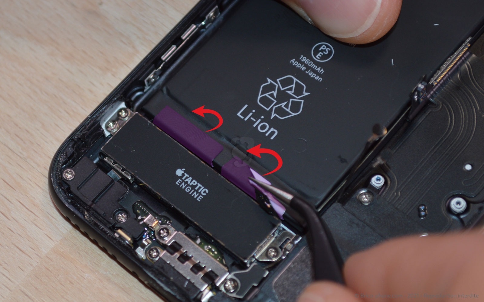 Changement de la coque arrière sur iPhone 7 photo 1