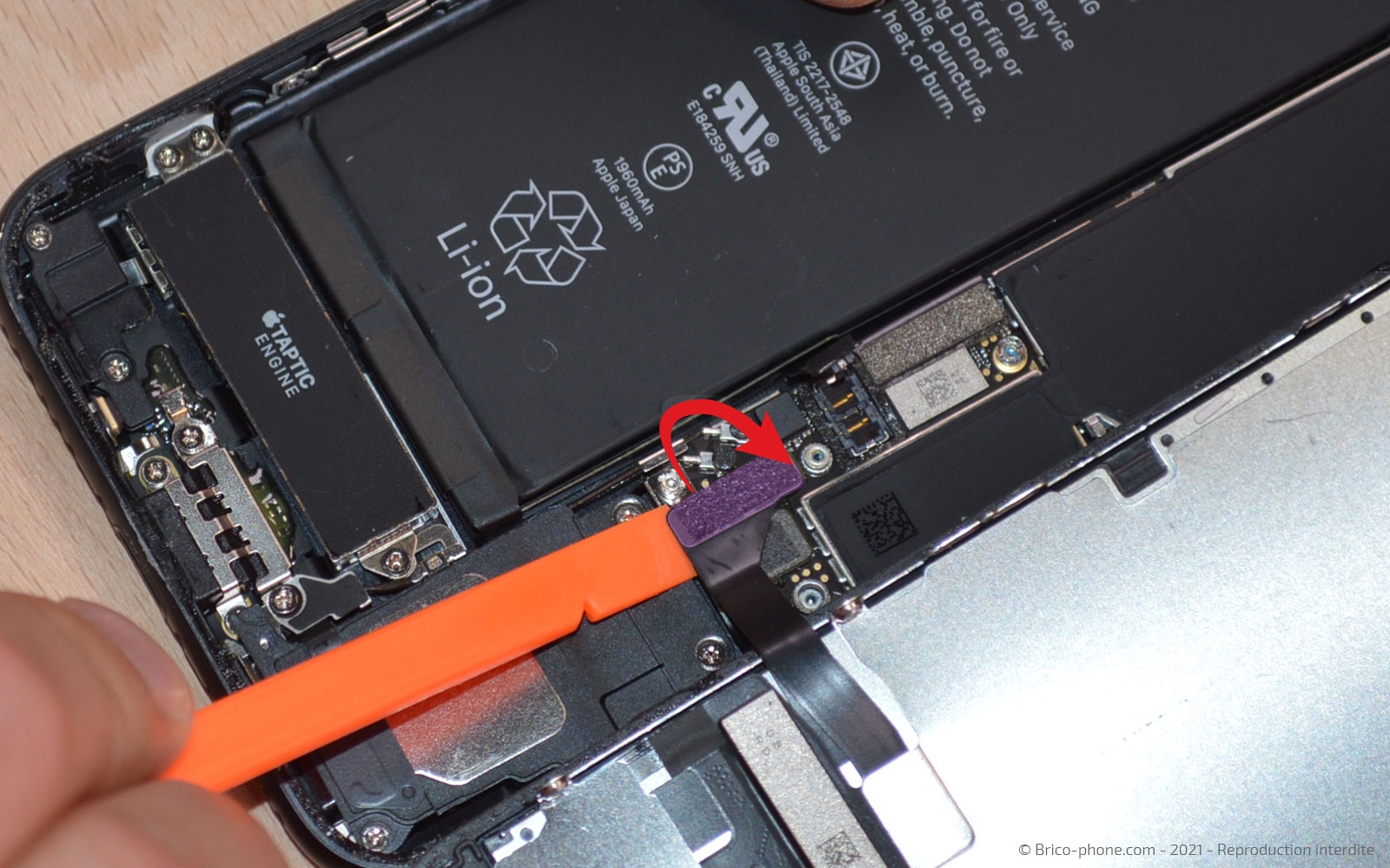 Changement de la coque arrière sur iPhone 7 photo 1