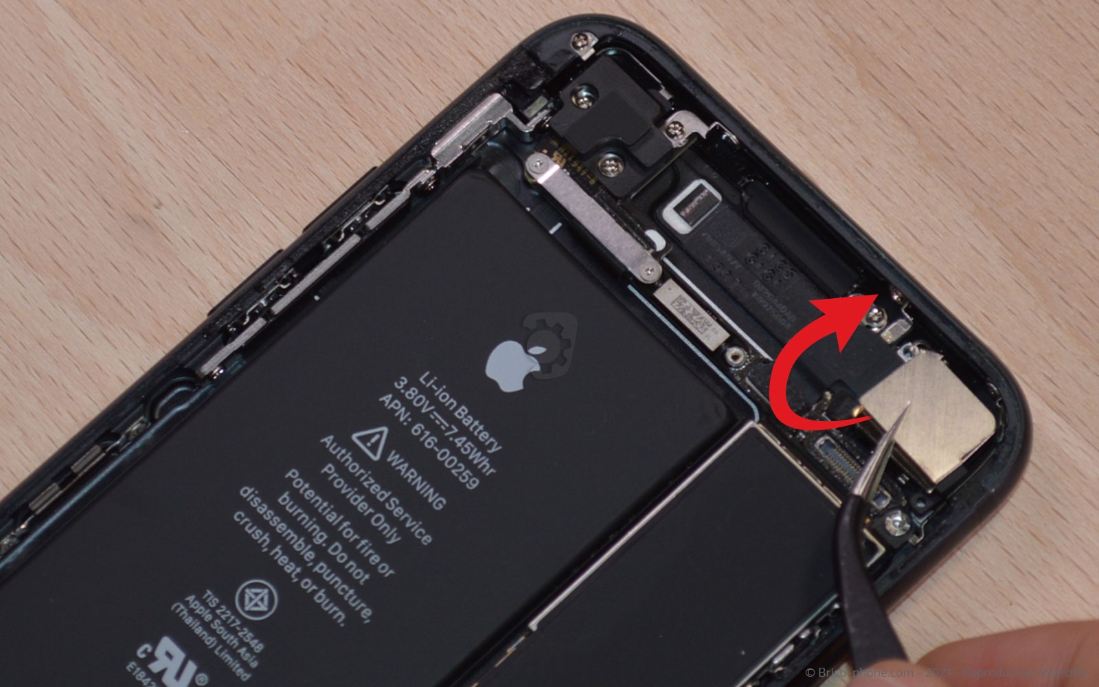 Changement de la coque arrière sur iPhone 7 photo 2