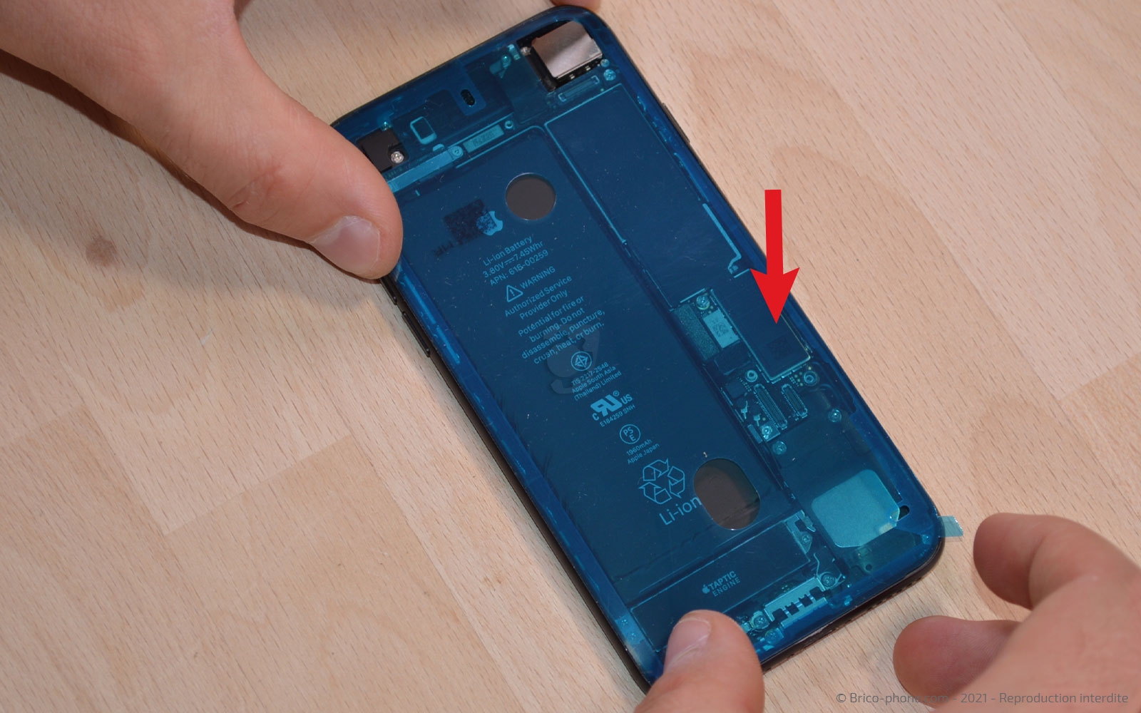 Changement de la coque arrière sur iPhone 7 photo 2