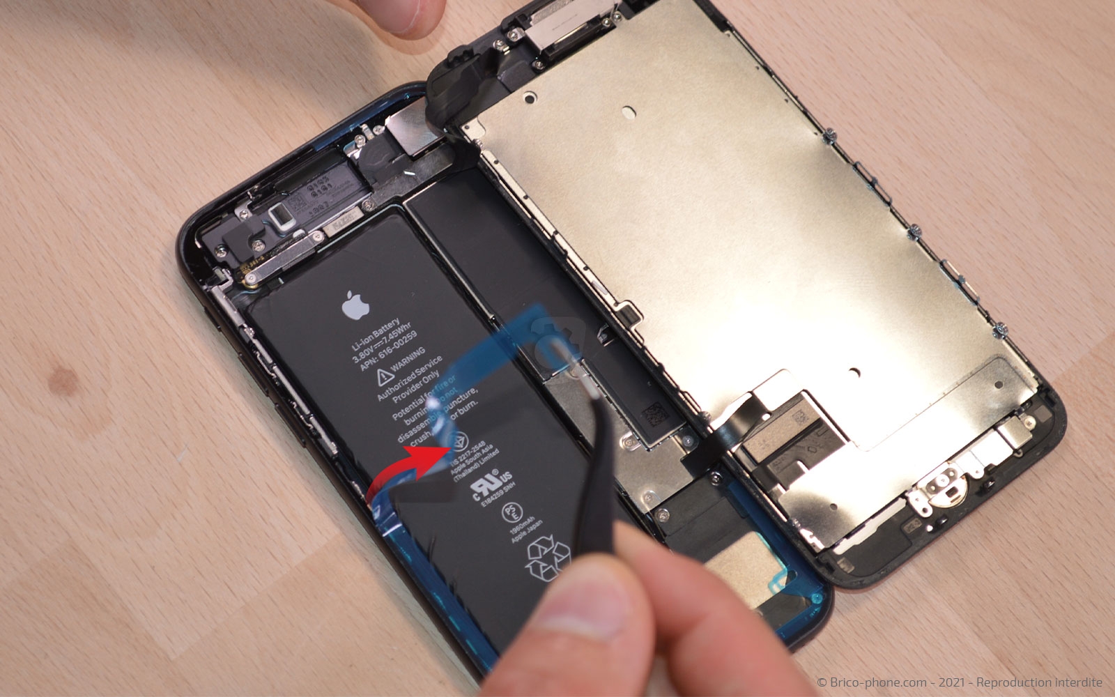 Changement de la coque arrière sur iPhone 7 photo 4