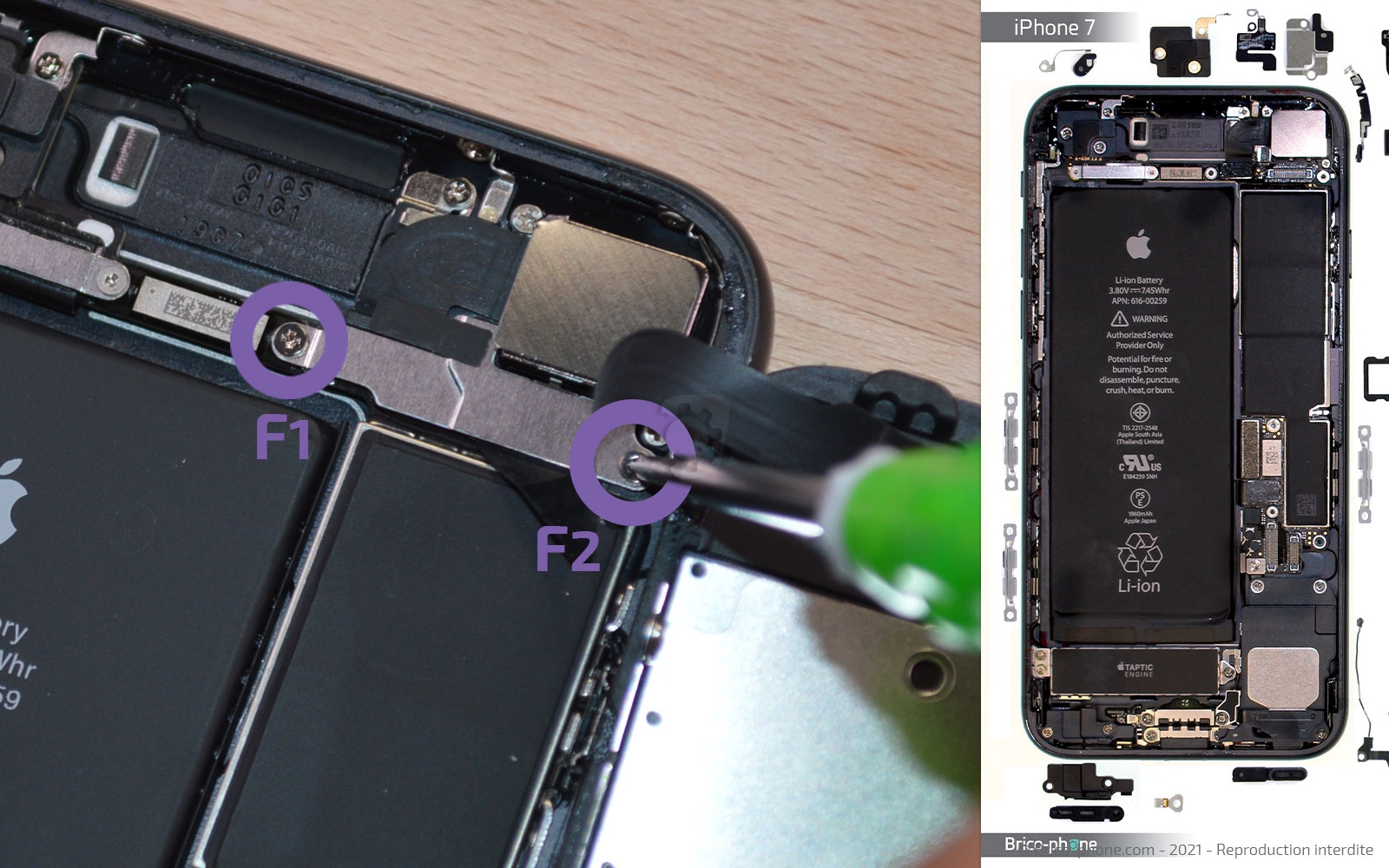 Changement de la coque arrière sur iPhone 7 photo 1