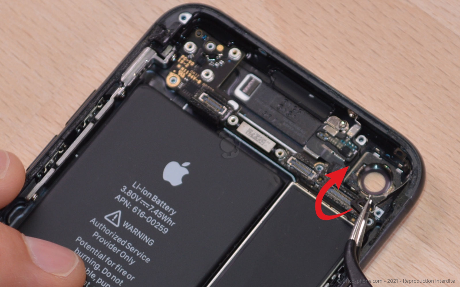 Changement de la coque arrière sur iPhone 7 photo 1