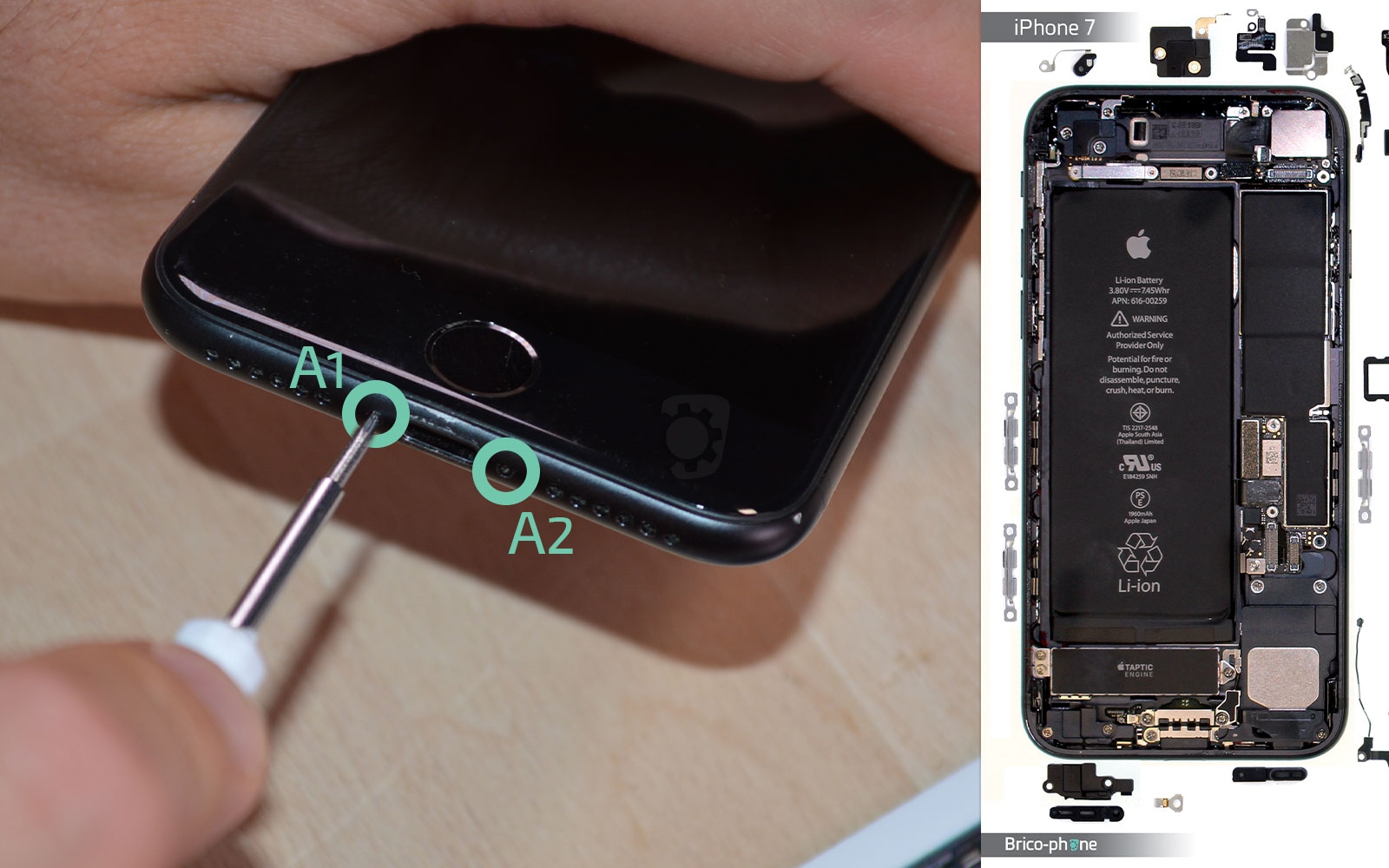 Changement de la coque arrière sur iPhone 7 photo 1