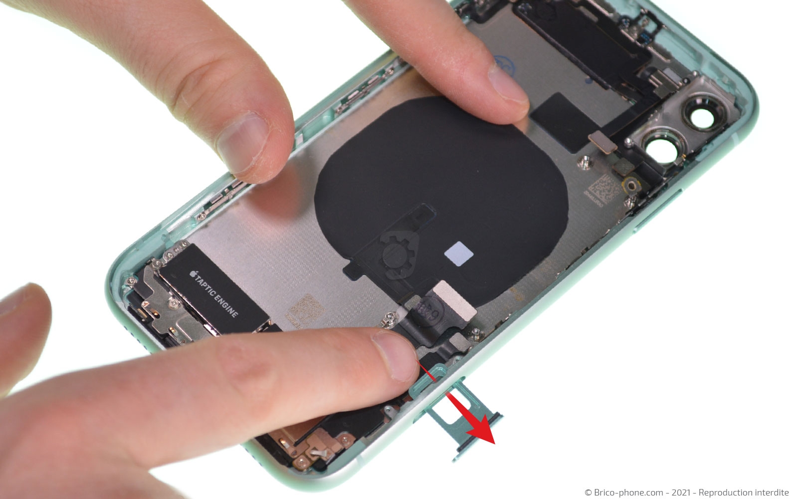 Changement de la coque arrière sur iPhone 11 photo 2