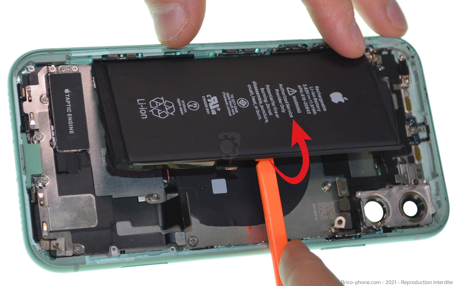 Changement de la coque arrière sur iPhone 11 photo 4