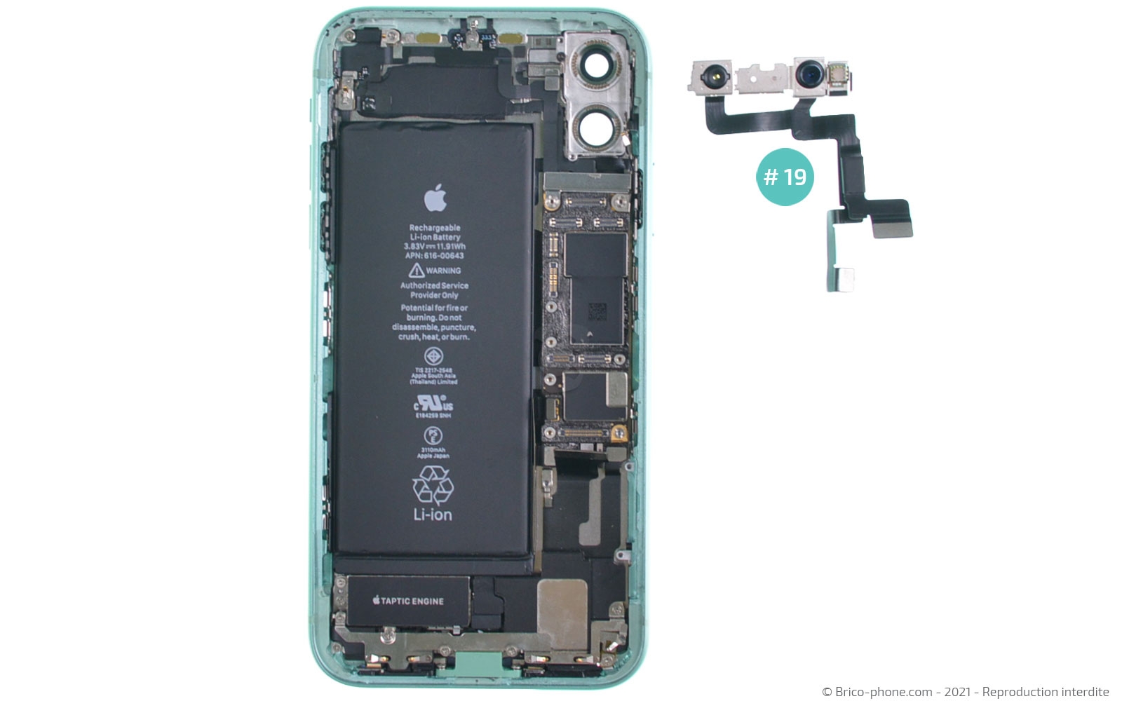 Changement de la coque arrière sur iPhone 11 photo 2