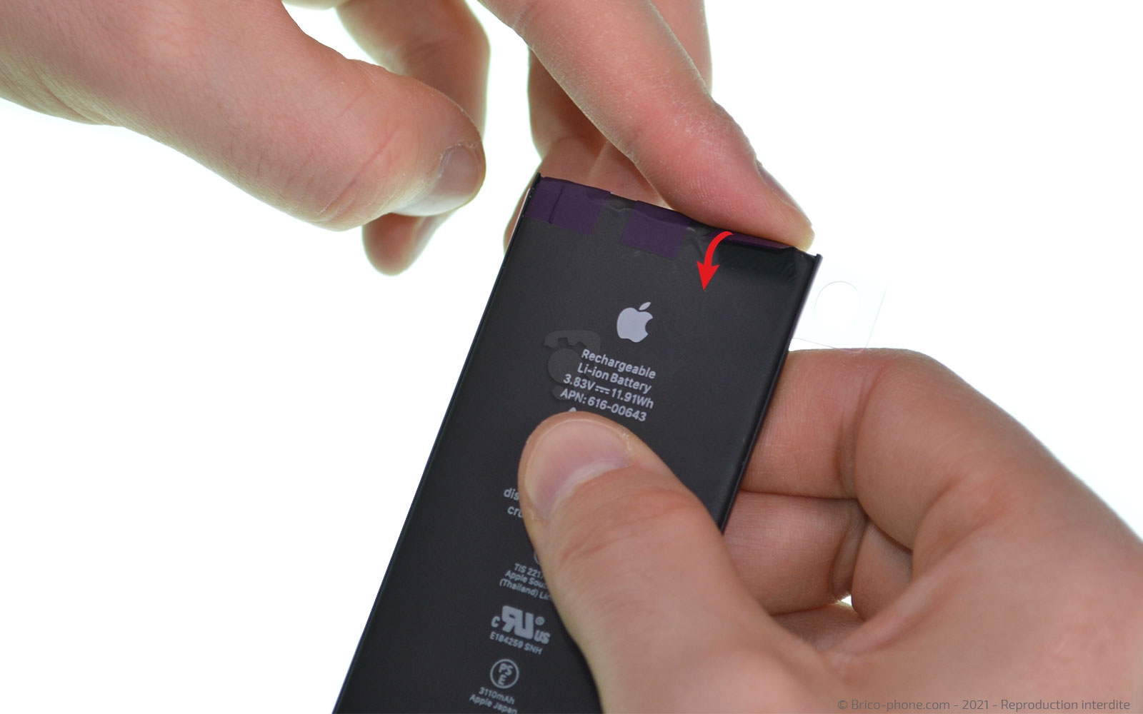 Changement de la coque arrière sur iPhone 11 photo 3