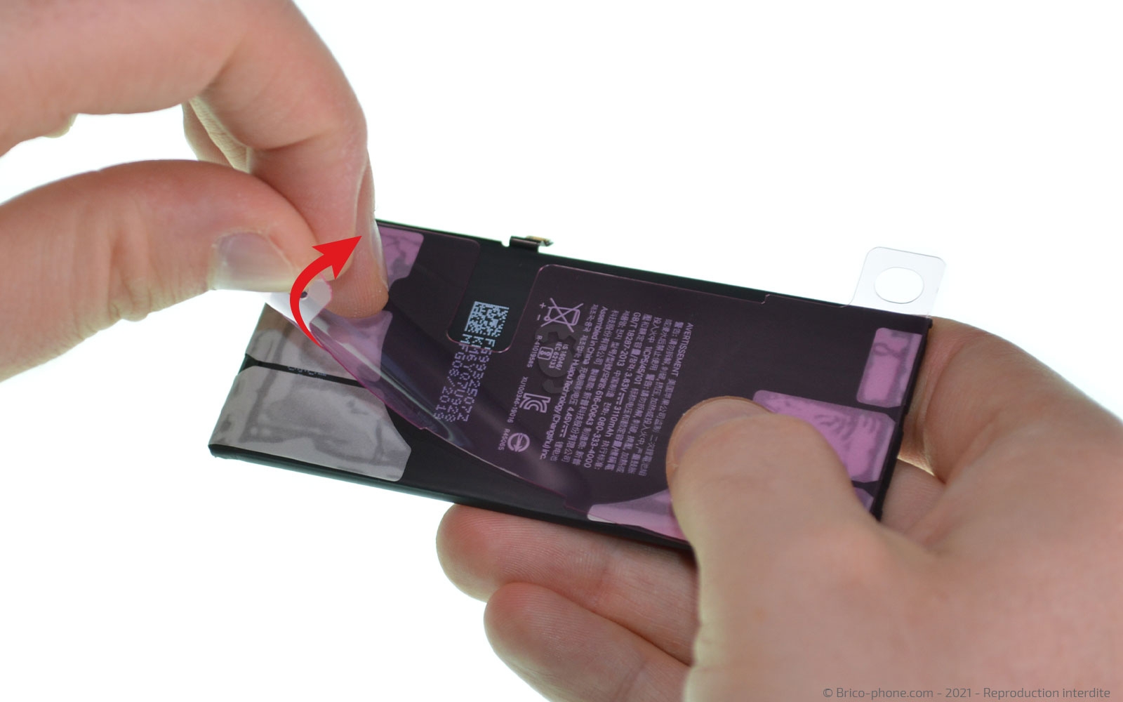 Changement de la coque arrière sur iPhone 11 photo 4