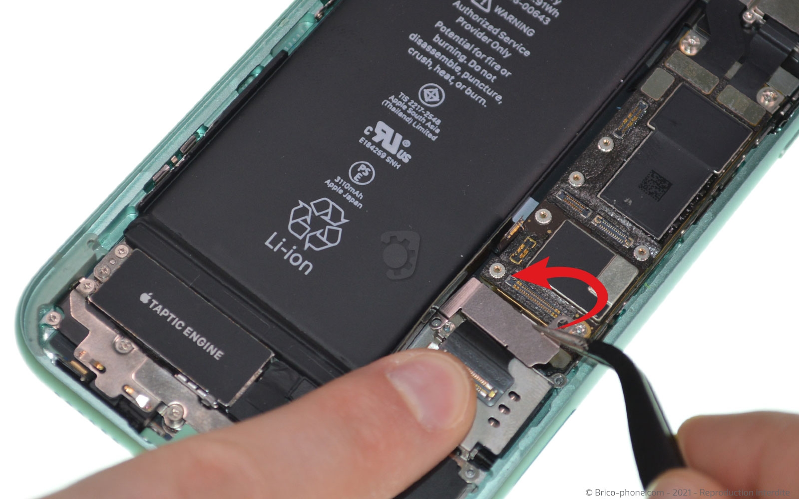 Changement de la coque arrière sur iPhone 11 photo 2