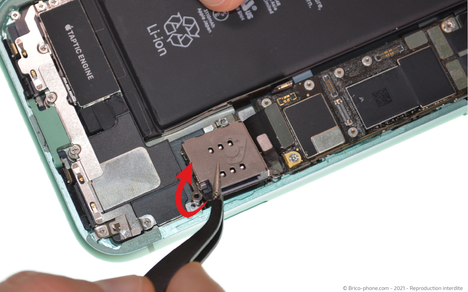 Changement de la coque arrière sur iPhone 11 photo 3